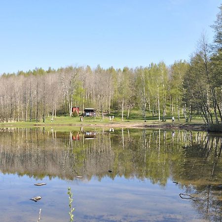 Furusjoens Cottage Ånimskog Екстериор снимка